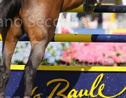 HECART M QUATRIN LaBaule2013- S4 9564 : 2013, HECART MICHEL, La Baule, QUATRIN DE LA ROQUE, foto di Stefano Secchi